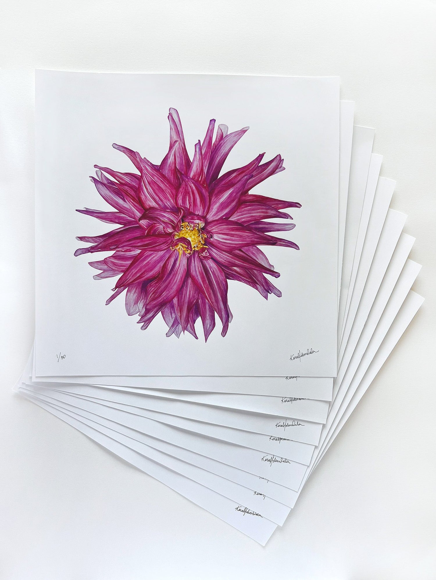 Limited Edition Prints
